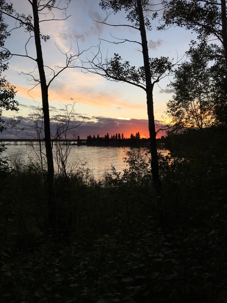 Elk Island National Park in Strathcona County